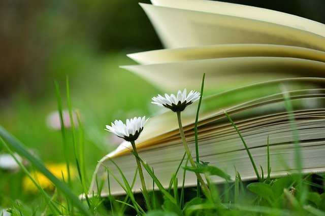 お花と本